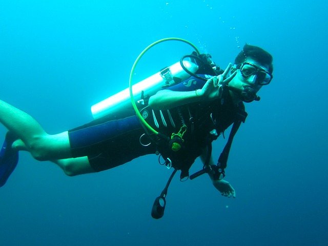 scuba-diver-261577_640 Дайвинг в Гаграх
