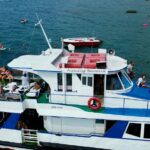 Теплоход Александр Воинский Гагры морские экскурсии